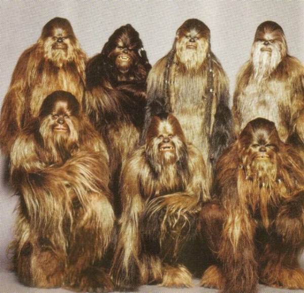 Chewbacca Family Photo