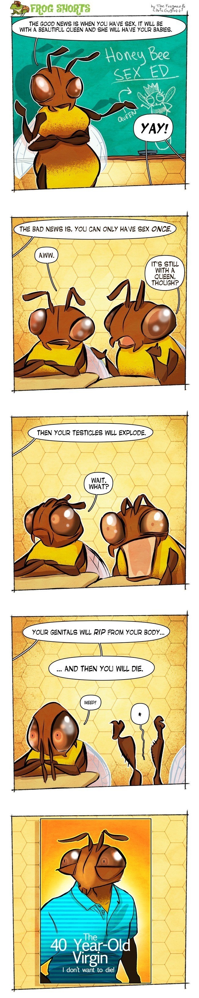 Bee Sex Frog Shorts Comic