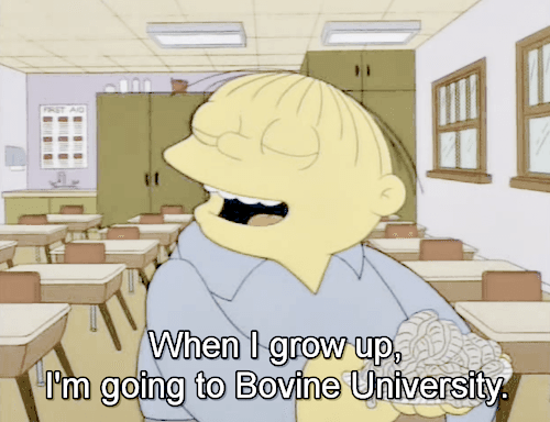Bovine University