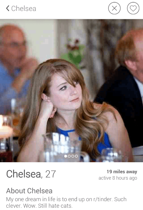 Bios female tinder funny 30 Of