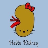 hello-kidney