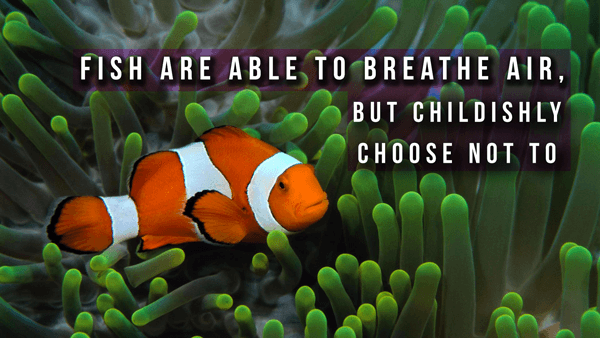 Fish Breathing