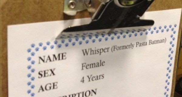 37 Funny Names That Are Unfortunately And Hilariously Real