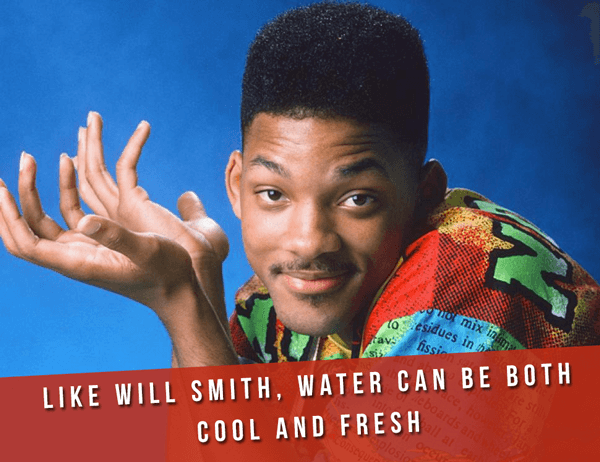 Will Smith Facts