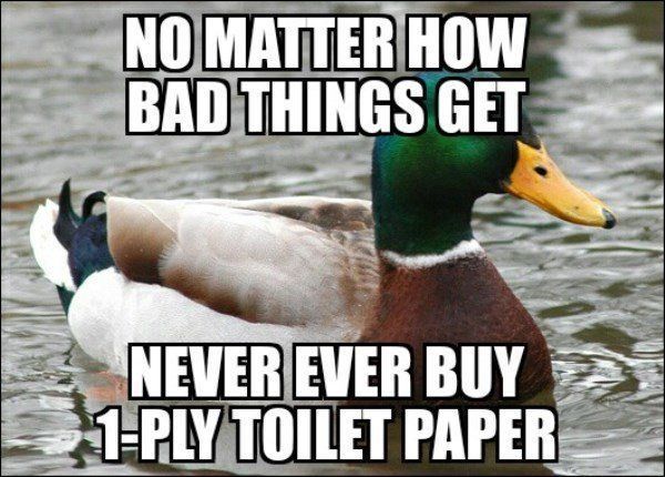 1 Ply Toilet Paper