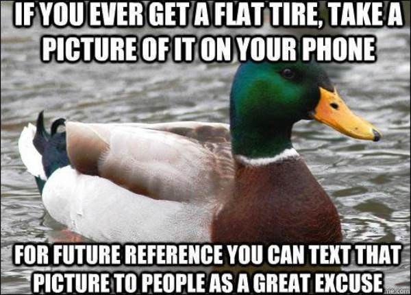 Actual Advice Mallard Flat Tire