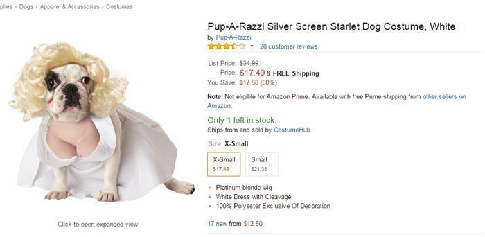 Starlet Dog Costume