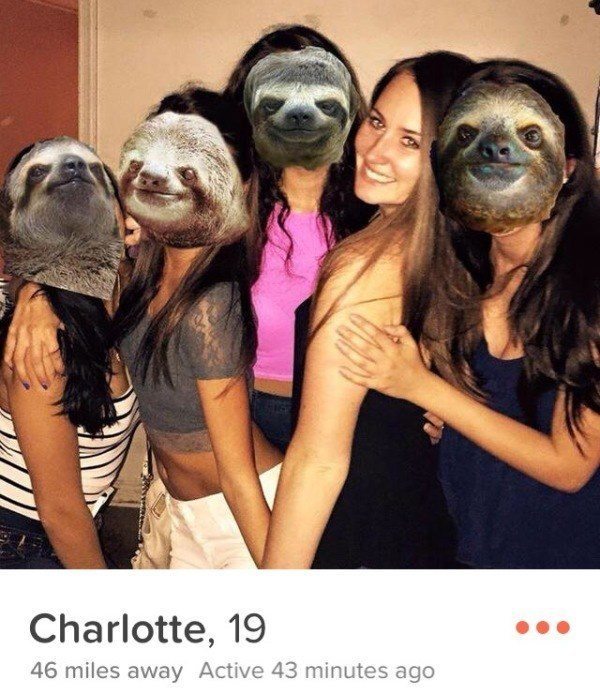 Sloths