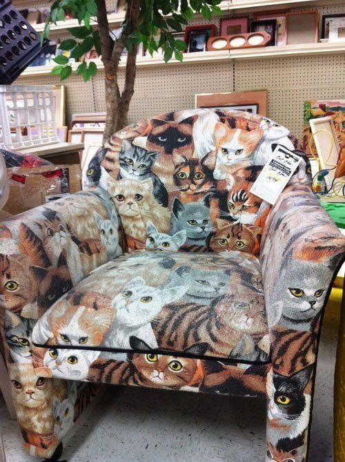 Cat Chair