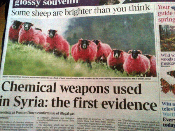 Syria Sheep Headline Fail