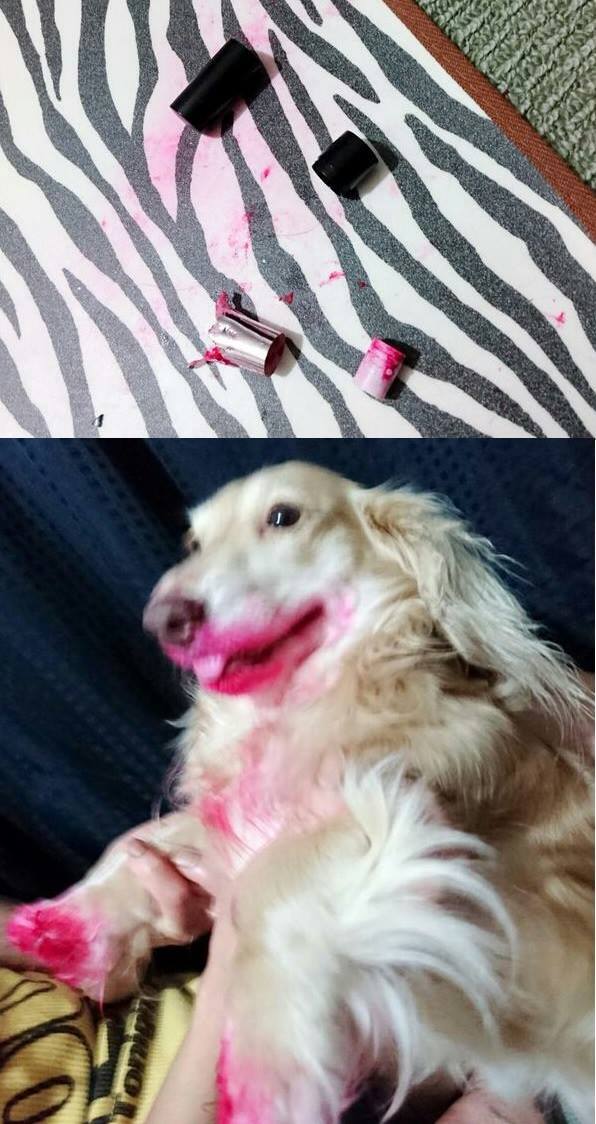 Who Ate The Lipstick