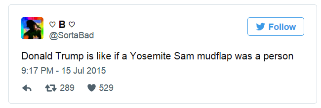 Yosemite Sam Mudflap