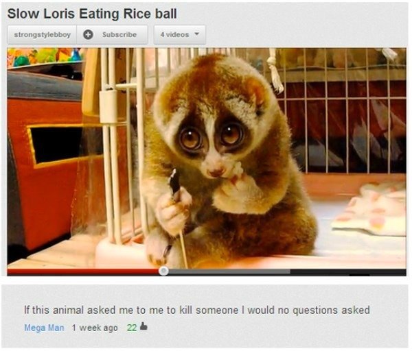 Slow Loris Youtube Comments