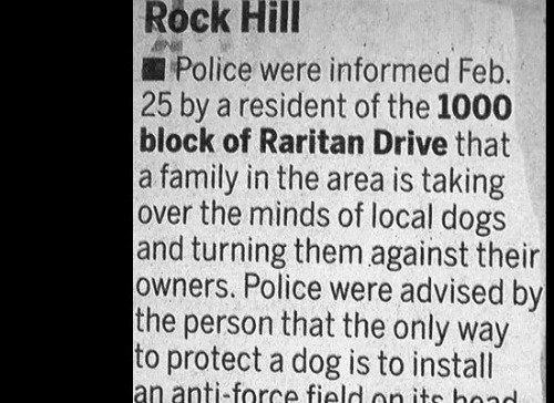 37 Hilariously Insane Police Reports