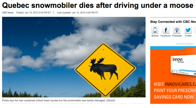 Driving Under A Moose