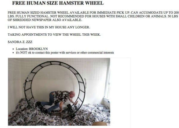 Hamster Wheel