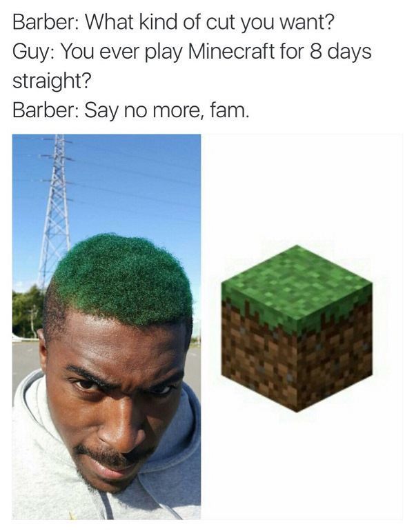 Minecraft