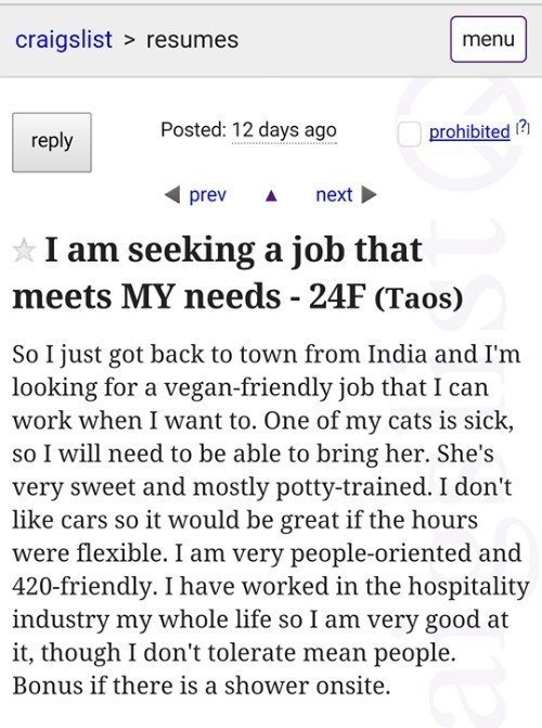 Funny Craigslist Ads The 41 Most Absurd Postings Ever