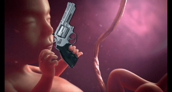 Nra Fetus Gun Rights