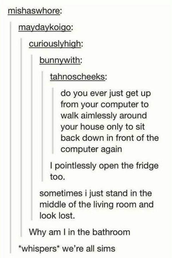 We Are All Sims