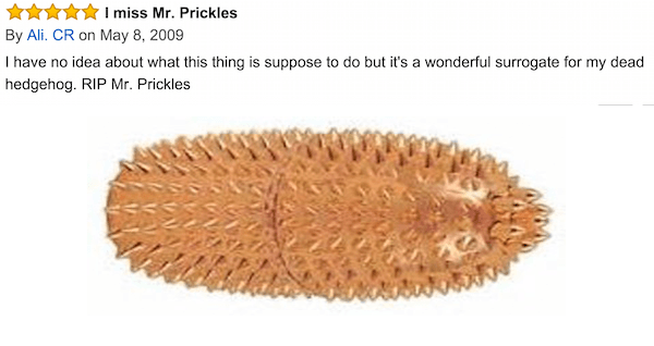 Mr Prickles funniest amazon reviews