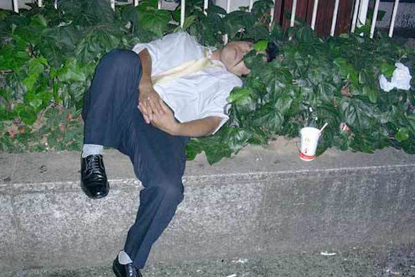 Asleep In Bushes