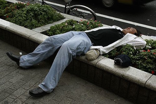 Asleep In Flowerbed