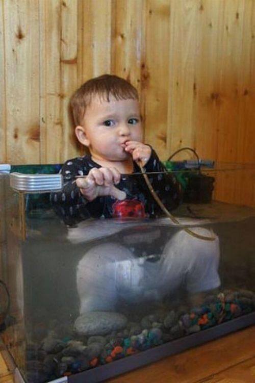 Fish Tank Kid