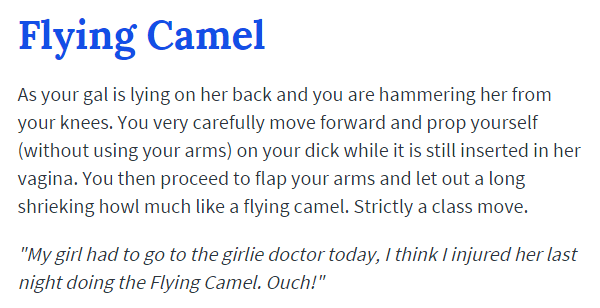 Flying Camel