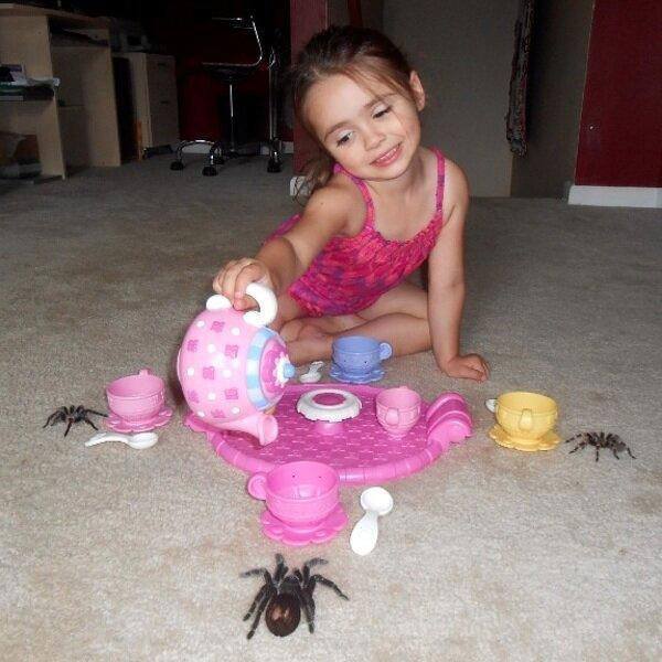 Spider Tea Party