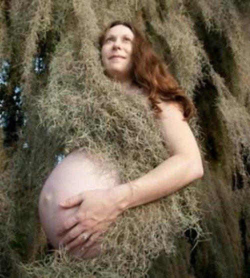 Moss Pregnancy Fails