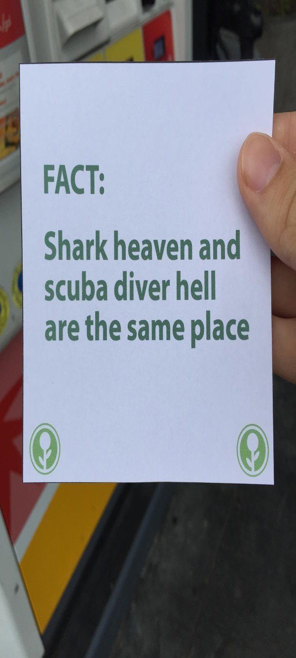 Obvious Plant Facts