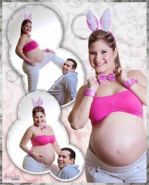 Pregnant Bunny