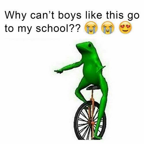 Dat Boy Memes Boys At School