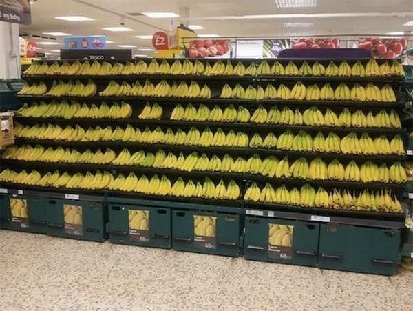 Perfect Bananas
