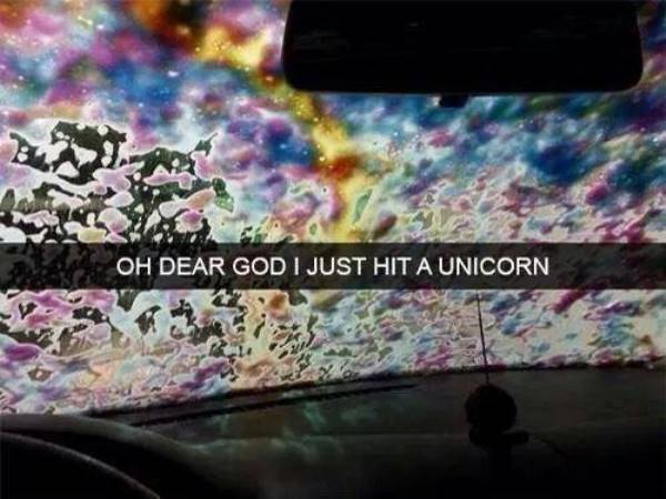 Unicorn Hilarious Snapchats