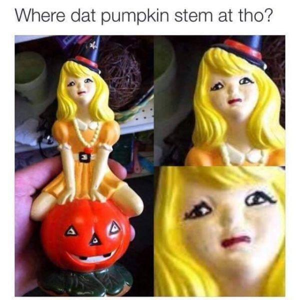 Pumpkin Stem