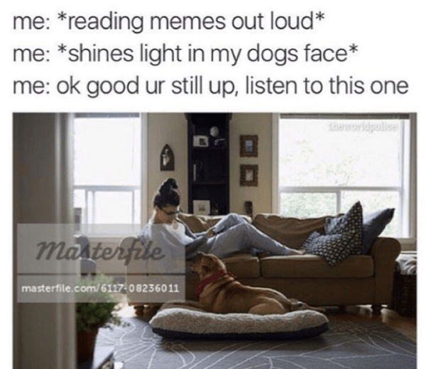 Reading Dogs Your Memes
