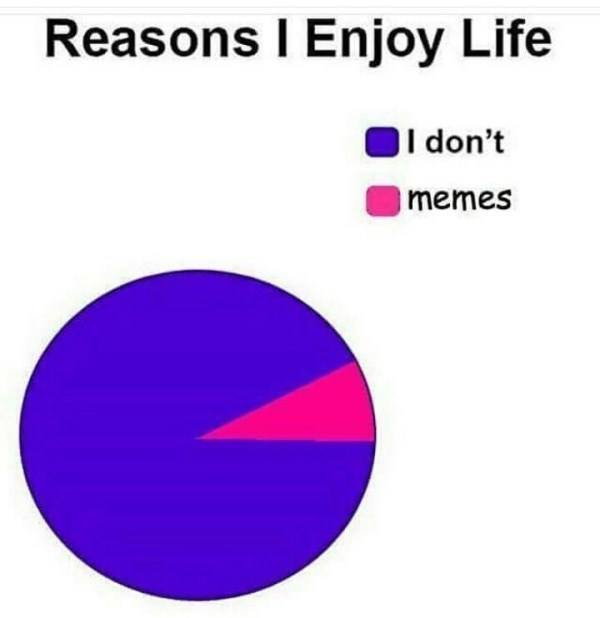 Why I Enjoy Life