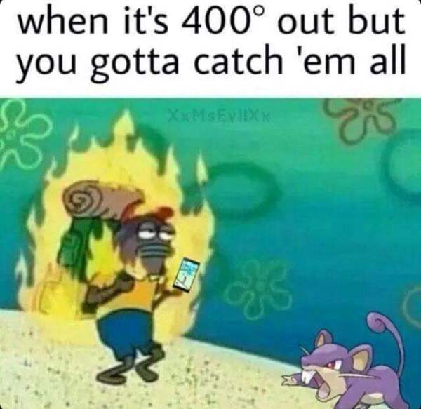 Catch Em All