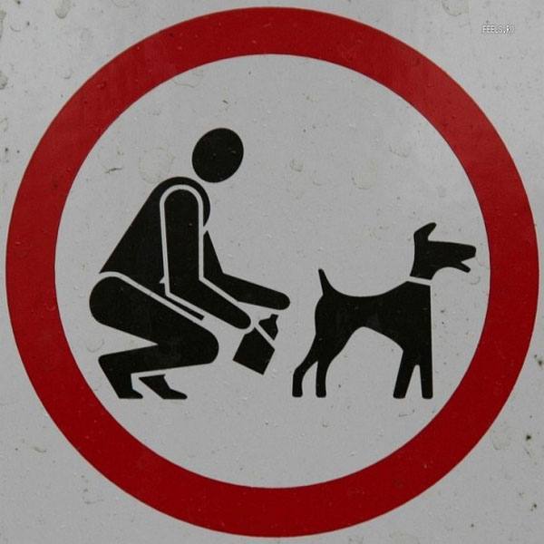 Dog Butt Sign