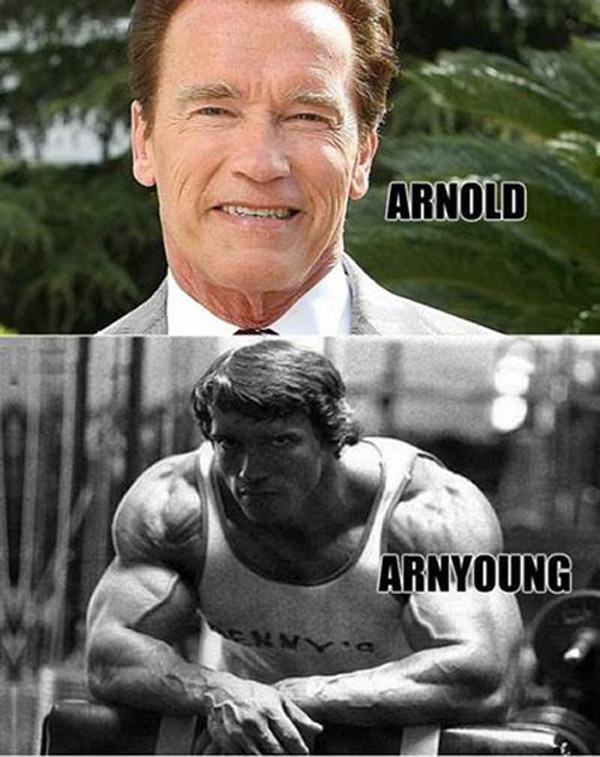 Celebrity Name Puns Arnold