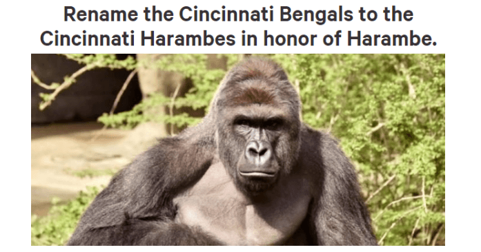 Hilarious Memes About Harambe