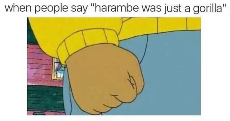 Memes About Harambe