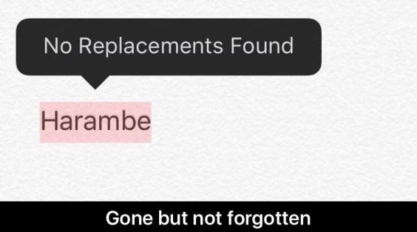 No Replacements Found