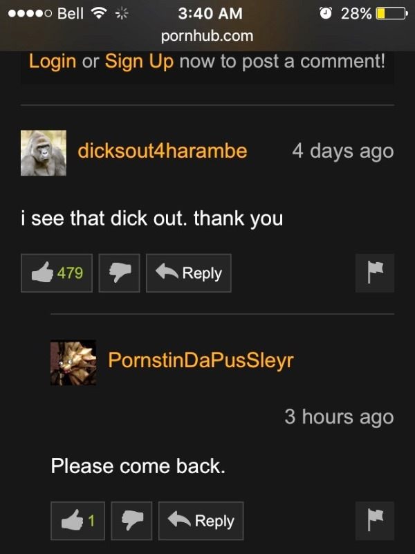 Porn Hub