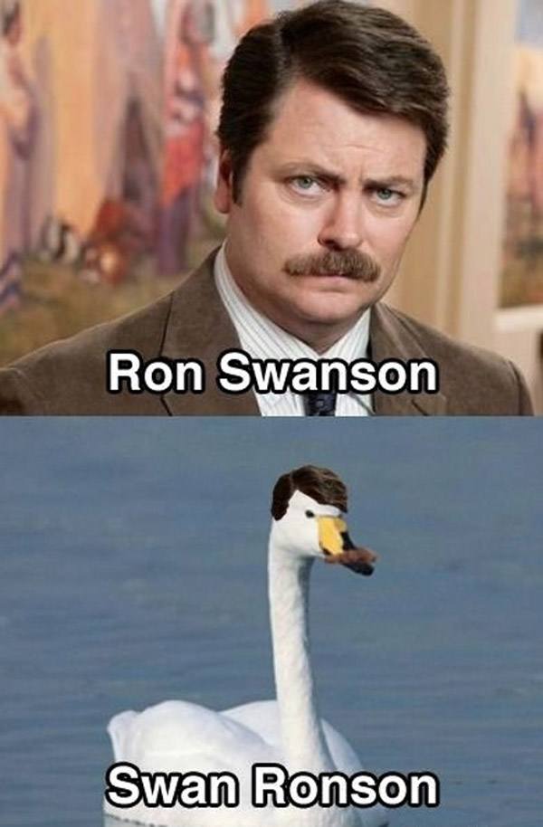 Ron Swanson