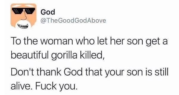 Tweets About Harambe
