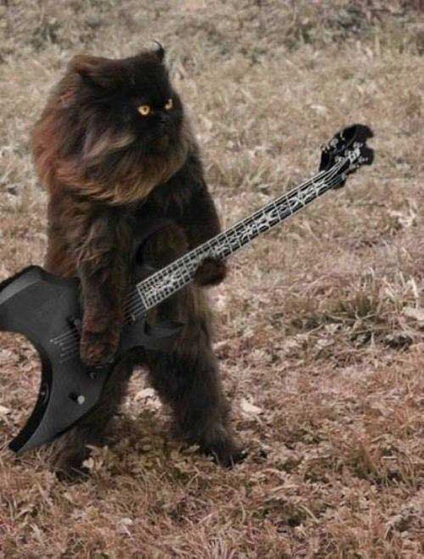 Death Metal Cat