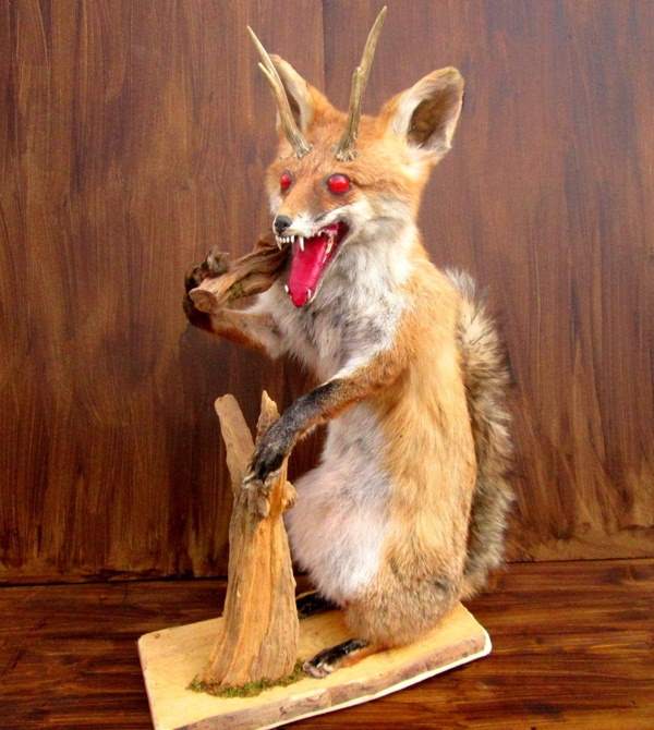 42 Funny Taxidermy Fails Just Waiting To Creep Into Your Nightmares